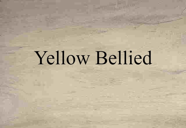 yellow-bellied