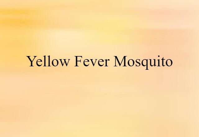 yellow-fever mosquito