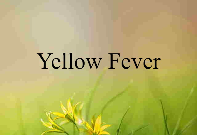 Yellow Fever (noun) Definition, Meaning & Examples