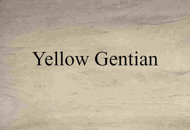 Yellow Gentian (noun) Definition, Meaning & Examples