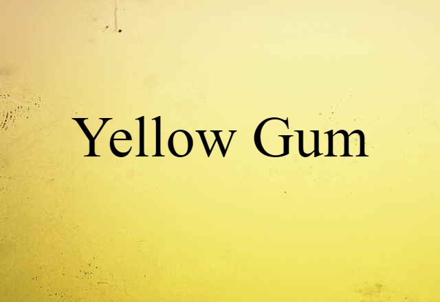 yellow gum