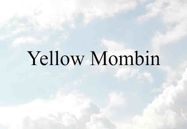 yellow mombin