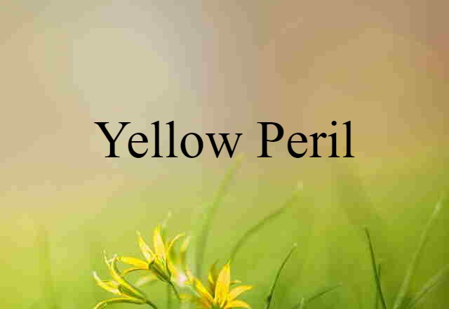 Yellow Peril (noun) Definition, Meaning & Examples