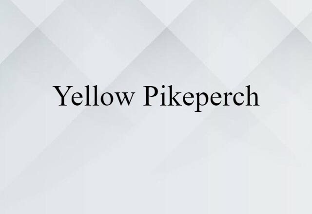 Yellow Pikeperch (noun) Definition, Meaning & Examples