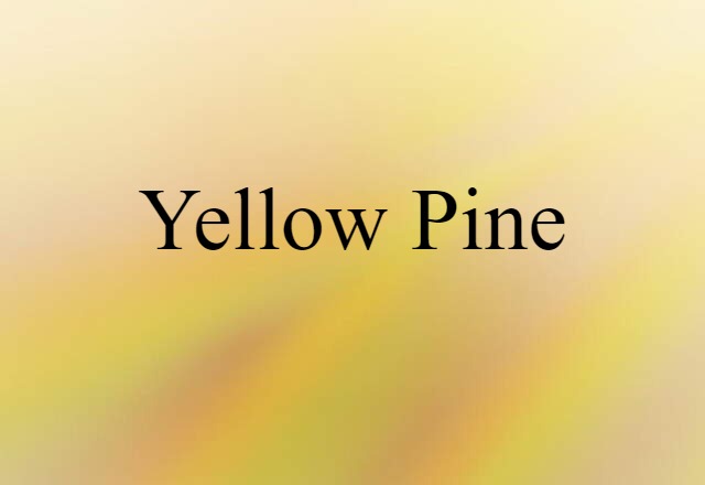 yellow pine