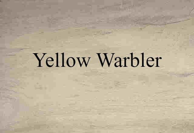 Yellow Warbler (noun) Definition, Meaning & Examples