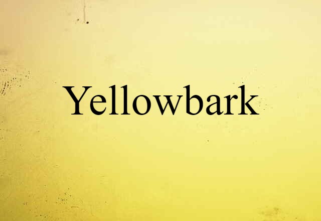 yellowbark