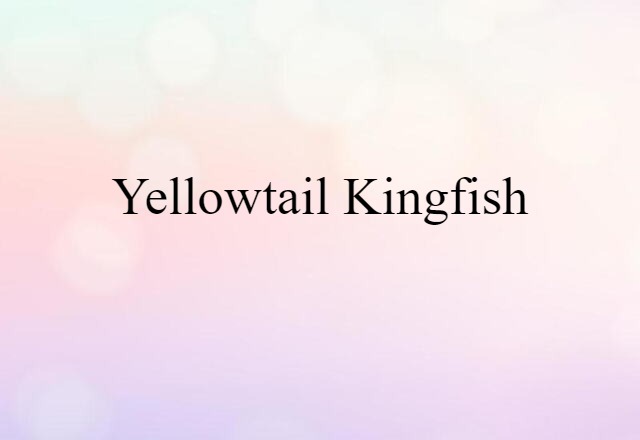 yellowtail kingfish