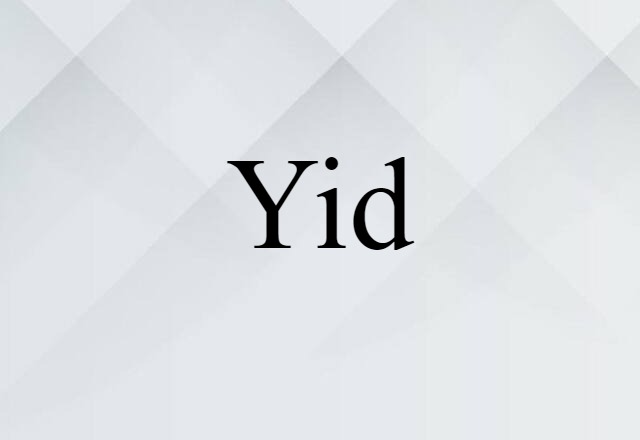 Yid (noun) Definition, Meaning & Examples