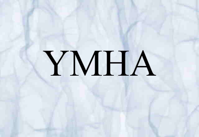 YMHA (noun) Definition, Meaning & Examples