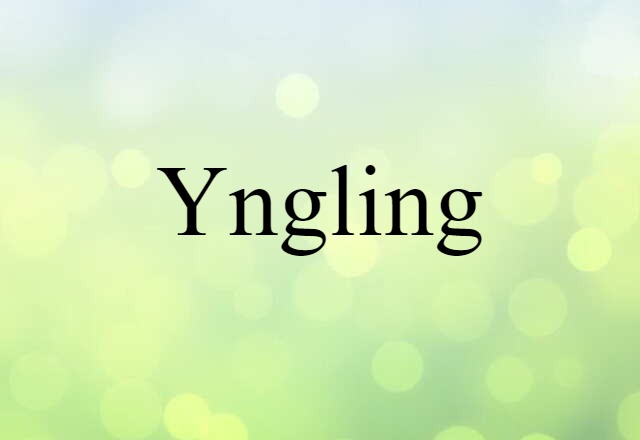 Yngling