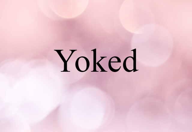 Yoked (noun) Definition, Meaning & Examples