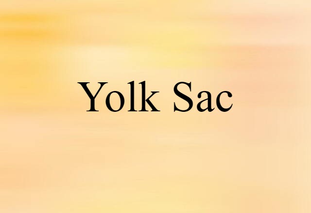 Yolk Sac (noun) Definition, Meaning & Examples