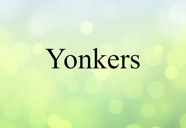 Yonkers (noun) Definition, Meaning & Examples