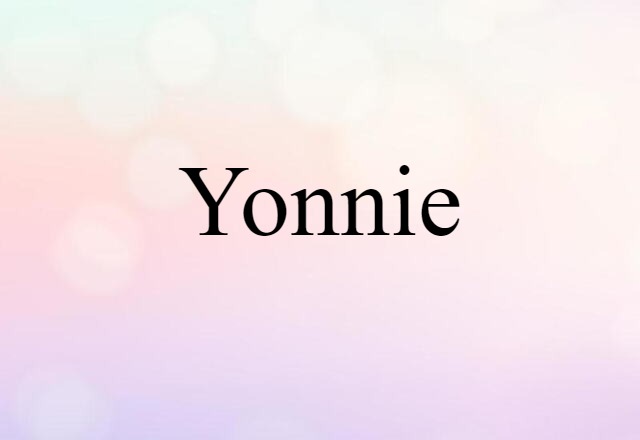 Yonnie (noun) Definition, Meaning & Examples