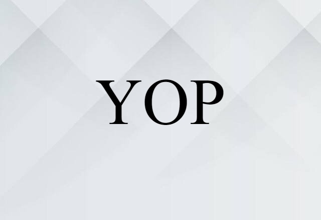 YOP (noun) Definition, Meaning & Examples