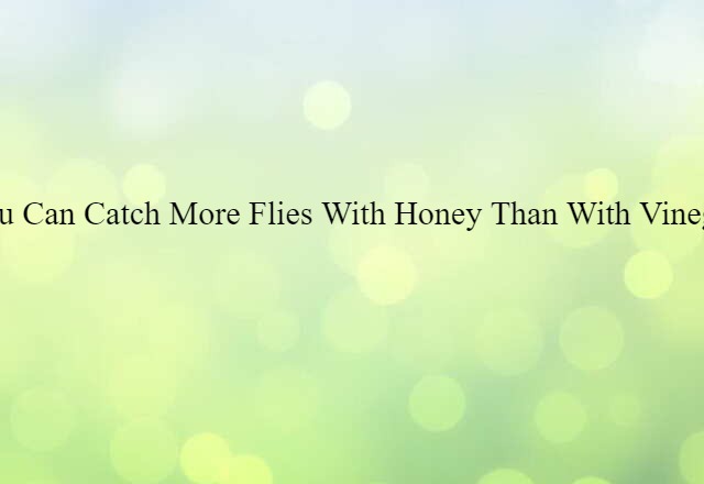 You Can Catch More Flies With Honey Than With Vinegar (noun) Definition, Meaning & Examples