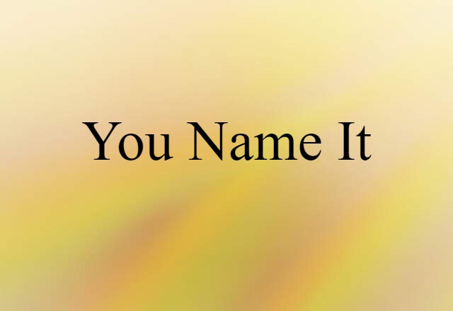 You Name It (noun) Definition, Meaning & Examples