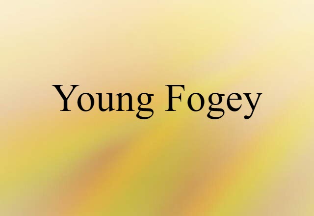 Young Fogey (noun) Definition, Meaning & Examples