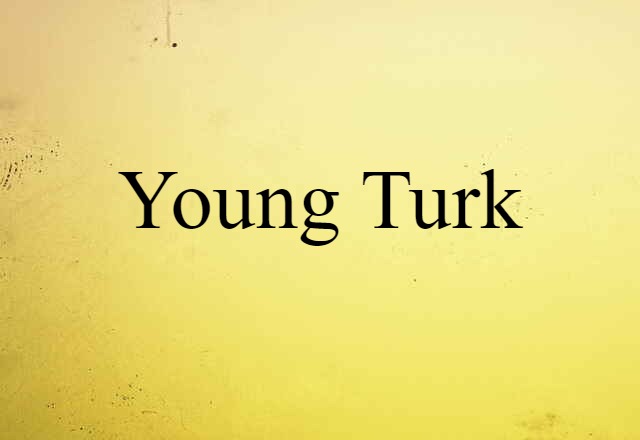 Young Turk (noun) Definition, Meaning & Examples