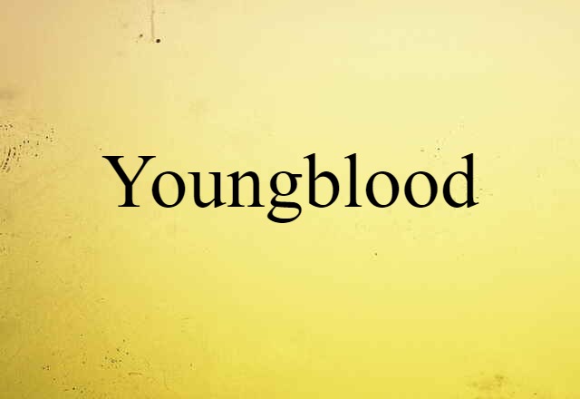 Youngblood (noun) Definition, Meaning & Examples