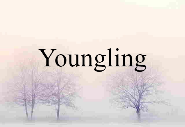 Youngling (noun) Definition, Meaning & Examples