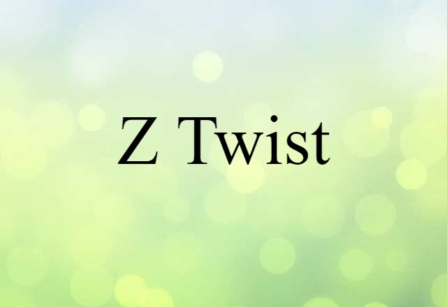 Z Twist (noun) Definition, Meaning & Examples