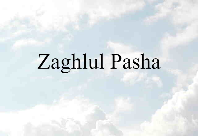 Zaghlul Pasha (noun) Definition, Meaning & Examples