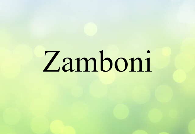 Zamboni (noun) Definition, Meaning & Examples