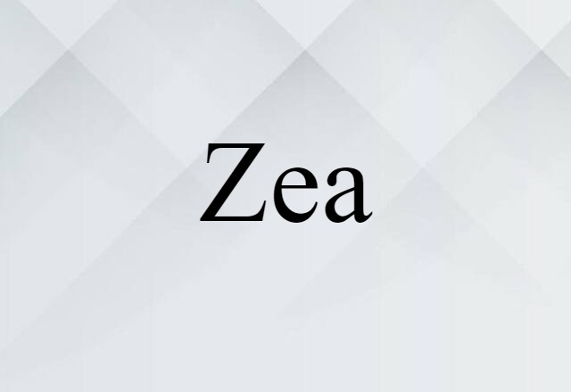 Zea