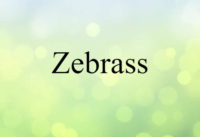 Zebrass (noun) Definition, Meaning & Examples