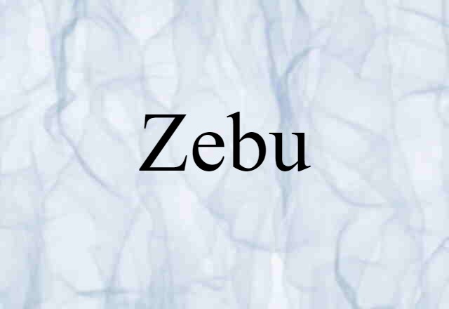 Zebu (noun) Definition, Meaning & Examples