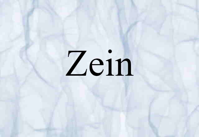 Zein (noun) Definition, Meaning & Examples