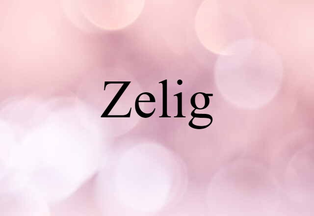 Zelig (noun) Definition, Meaning & Examples