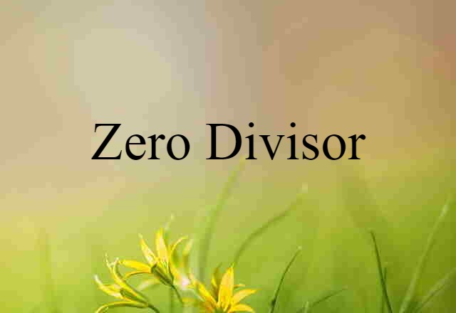 zero-divisor