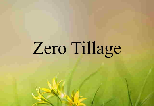 zero tillage