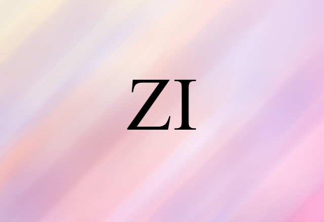 ZI (noun) Definition, Meaning & Examples