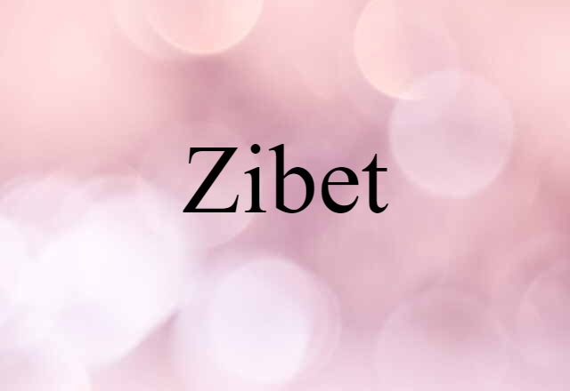 Zibet (noun) Definition, Meaning & Examples