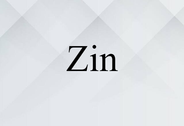 Zin (noun) Definition, Meaning & Examples