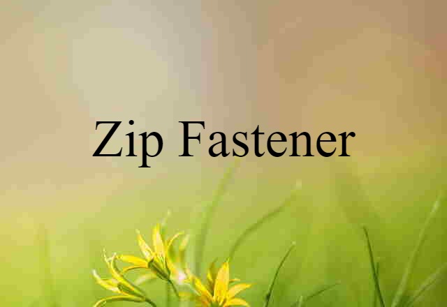 Zip Fastener (noun) Definition, Meaning & Examples