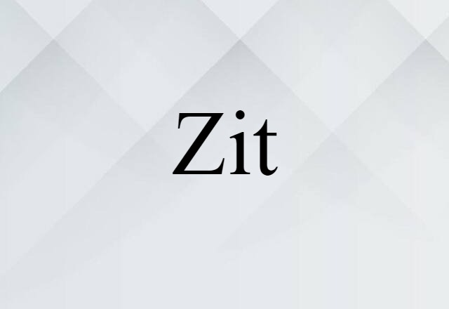 Zit (noun) Definition, Meaning & Examples