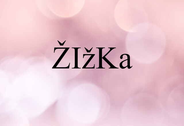 Žižka (noun) Definition, Meaning & Examples