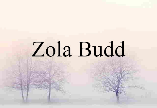 Zola Budd (noun) Definition, Meaning & Examples