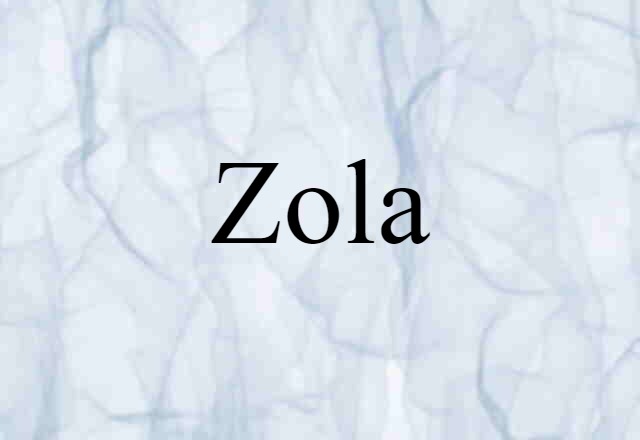 Zola (noun) Definition, Meaning & Examples