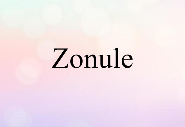 Zonule (noun) Definition, Meaning & Examples