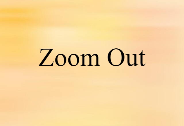 Zoom Out (noun) Definition, Meaning & Examples