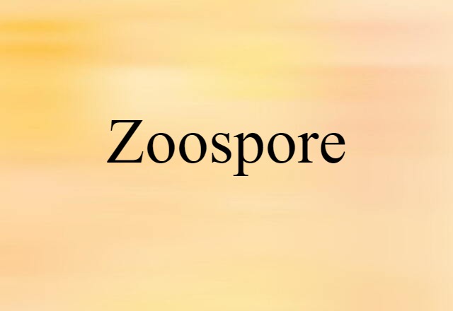 zoospore