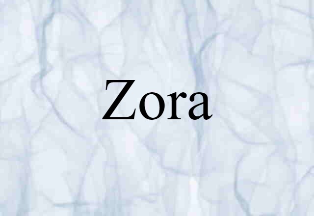 Zora (noun) Definition, Meaning & Examples