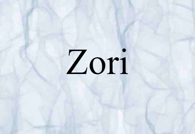 Zori (noun) Definition, Meaning & Examples