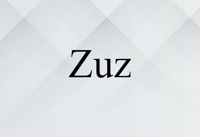 Zuz (noun) Definition, Meaning & Examples